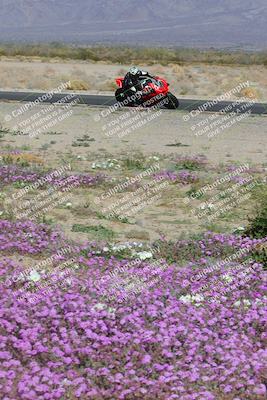 media/Feb-04-2023-SoCal Trackdays (Sat) [[8a776bf2c3]]/Turn 15 Inside Blooming (1050am)/